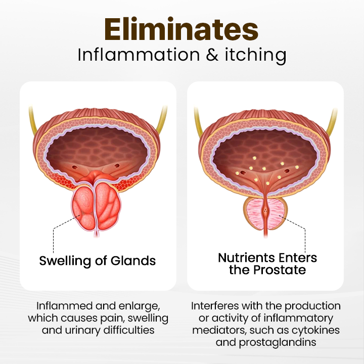 HZA™ ProstaVibe Bee Wellness Inhaler